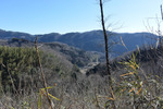 山道2