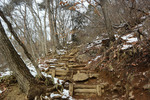 登山道