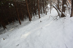 雪道