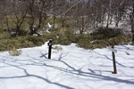 雪道