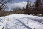雪原