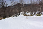 雪原2