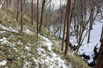 下山道