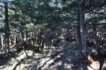 山頂へ