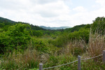 古峰ヶ原2