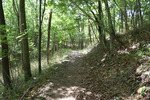 登山道