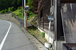 180609_42.jpg