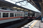 日光線