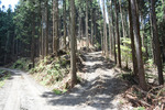 尾根分岐
