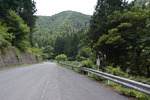 里道