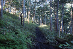 登山道