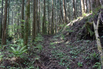山道
