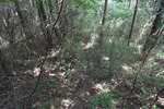 山道2