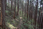 山道3