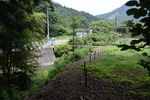 山道出口