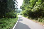 峠道