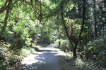 林道2