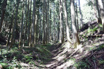 行道山へ