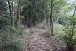 尾根歩き