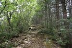 山道