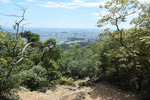 下山道