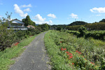 土手道