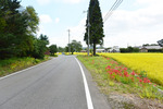 田舎道2