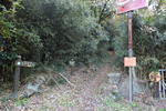 山道へ