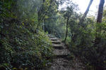 山道