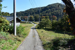 田舎道