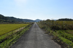 田園風景