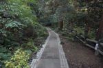 遊歩道