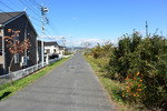 土手歩き
