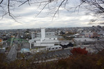 錦着山より