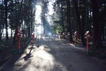 参道