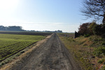 田園風景2