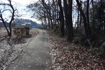 田舎道