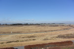 河川敷2