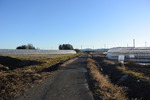 田舎道歩き