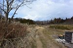 田舎道2