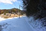 雪道2