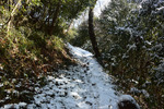 山道