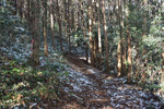 山道2
