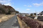 田舎道