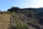山道