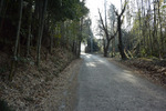 田舎道
