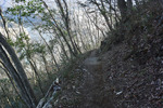 登山道2