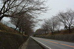 国道294号