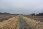 堤防歩き