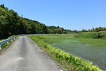 田舎道